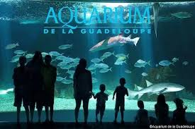 Aquarium de la Guadeloupe — Entrée à tarif réduit