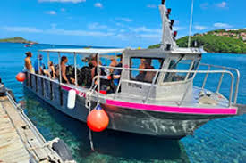 Ti Bulles — Baptême de plongée Réserve Cousteau